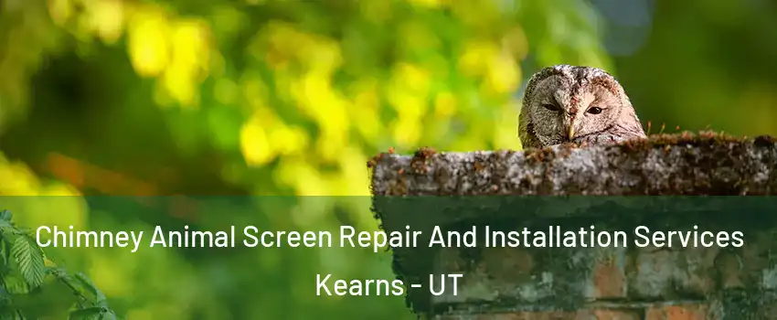  Chimney Animal Screen Repair And Installation Services Kearns - UT
