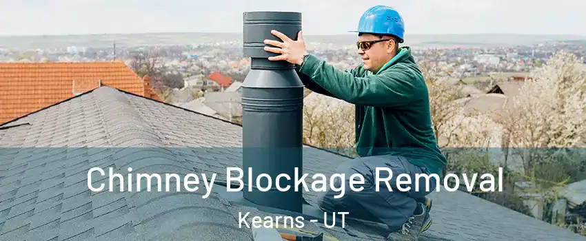  Chimney Blockage Removal Kearns - UT