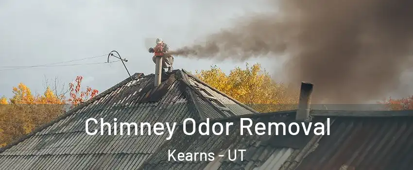 Chimney Odor Removal Kearns - UT