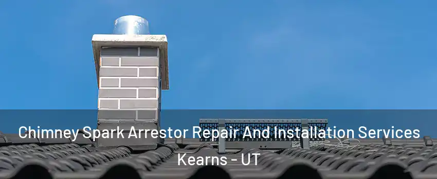  Chimney Spark Arrestor Repair And Installation Services Kearns - UT