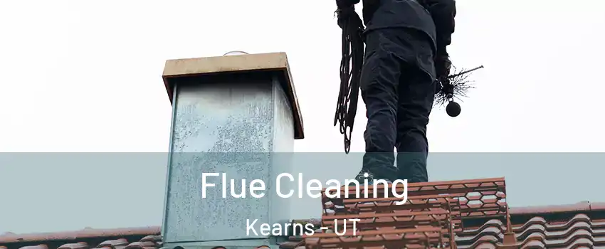  Flue Cleaning Kearns - UT