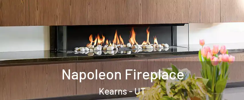  Napoleon Fireplace Kearns - UT